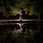 Beautiful night portrait of bride and grooms reflected in lake at night